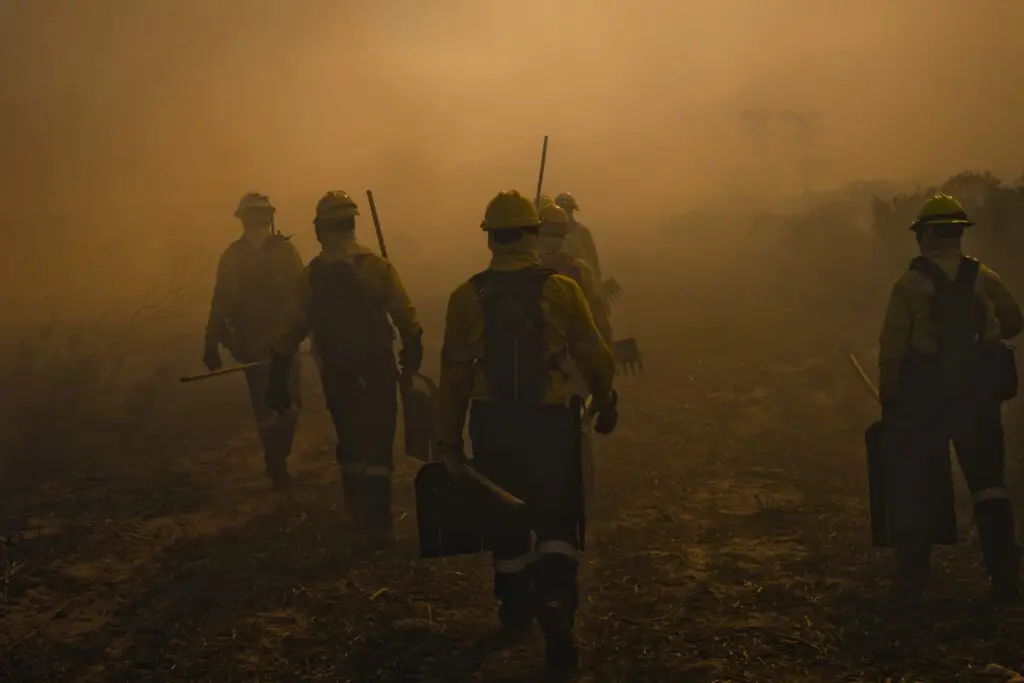 wildland firefighters