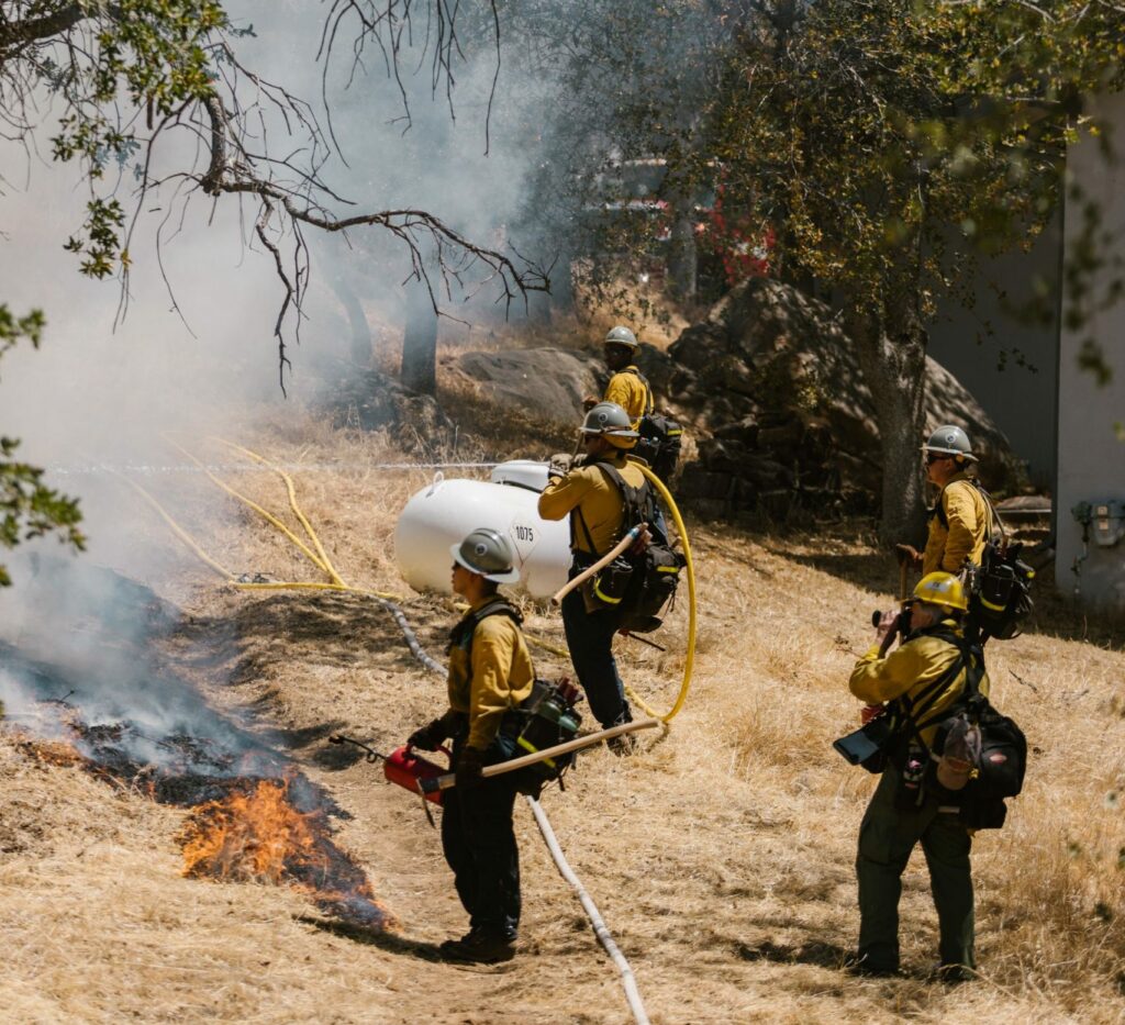 Group of wildland firefighters putting out a brush fire