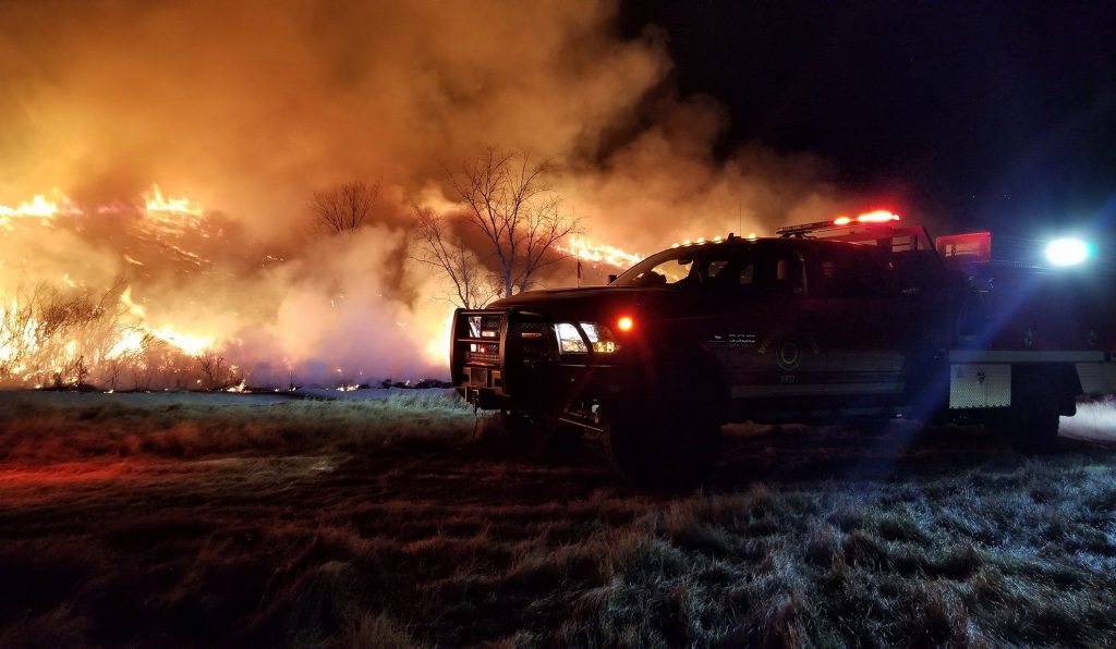 27355979 1887398827998867 2378520646071301393 o (1)