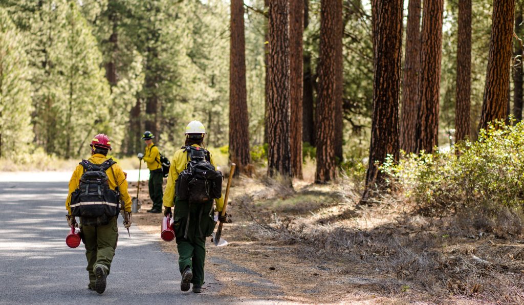 Group of Wildland Firefighters walking on a road next to a forest